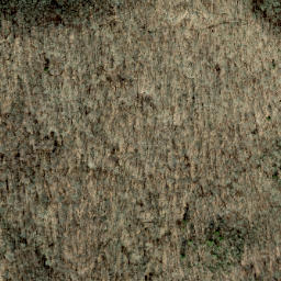 Satellite imagery of Connor Ridge, US