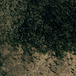 Satellite imagery of Grassy Knob Ridge, US