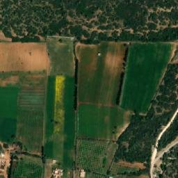 Satellite imagery of Koudiat el Cheikh, DZ