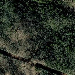 Satellite imagery of Leadmine Ridge, US