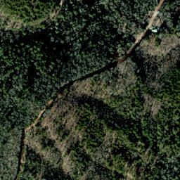 Satellite imagery of Leadmine Ridge, US