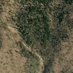 Satellite imagery of Grassy Knob Ridge, US
