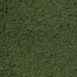 Satellite imagery of Wilson Ridge, US