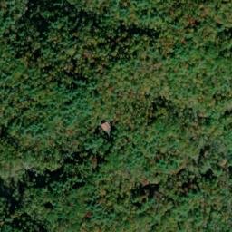 Satellite imagery of Hurricane Ridge, US