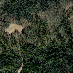 Satellite imagery of Leadmine Ridge, US