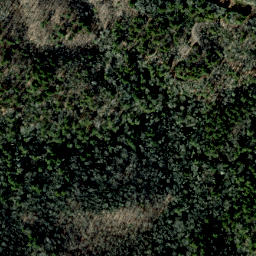 Satellite imagery of Leadmine Ridge, US