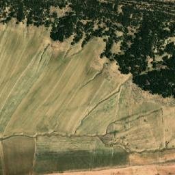 Satellite imagery of Draa el Oust, DZ