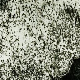Satellite imagery of Baker Ridge, US