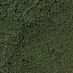 Satellite imagery of Wilson Ridge, US