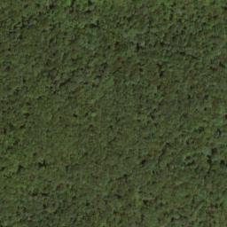Satellite imagery of Wilson Ridge, US
