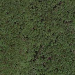 Satellite imagery of Wilson Ridge, US