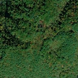 Satellite imagery of Hurricane Ridge, US