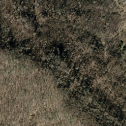 Satellite imagery of Bearpen Ridge, US