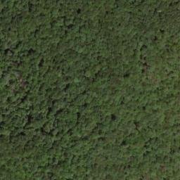Satellite imagery of Wilson Ridge, US