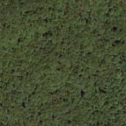 Satellite imagery of Wilson Ridge, US