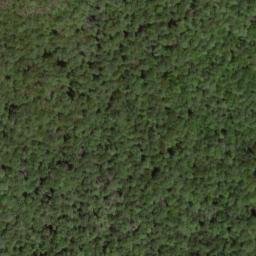 Satellite imagery of Wilson Ridge, US