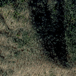 Satellite imagery of Hickory Spur, US
