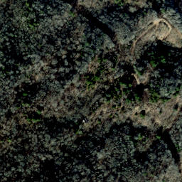 Satellite imagery of Hickory Spur, US