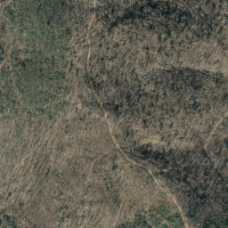 Satellite imagery of Chestnut Ridge, US