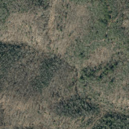 Satellite imagery of Chestnut Ridge, US