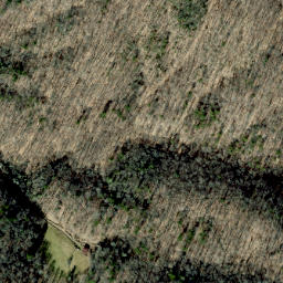Satellite imagery of Hickory Spur, US