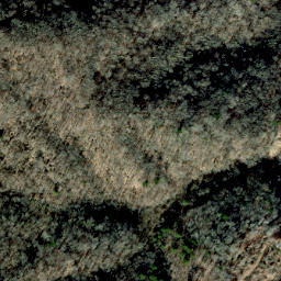 Satellite imagery of Hickory Spur, US
