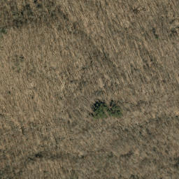 Satellite imagery of Ogle Ridge, US