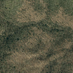 Satellite imagery of Locust Ridge, US