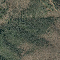 Satellite imagery of Chestnut Ridge, US