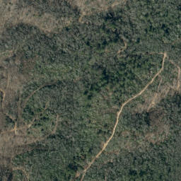 Satellite imagery of Chestnut Ridge, US