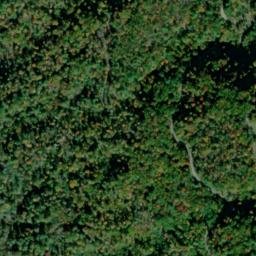 Satellite imagery of Fork Ridge, US