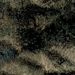 Satellite imagery of Hickory Spur, US