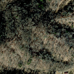 Satellite imagery of Hickory Spur, US