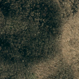 Satellite imagery of Big Fork Ridge, US
