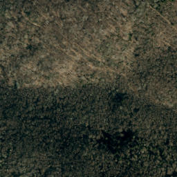 Satellite imagery of Winter Star Ridge, US