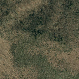 Satellite imagery of Locust Ridge, US