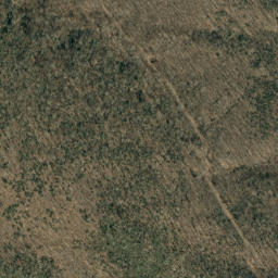 Satellite imagery of Locust Ridge, US