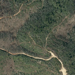 Satellite imagery of Chestnut Ridge, US
