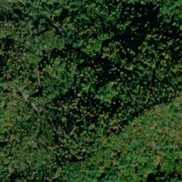 Satellite imagery of Fork Ridge, US