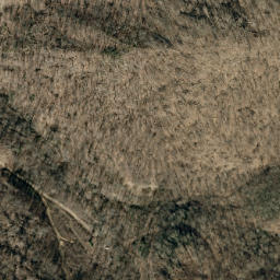 Satellite imagery of Oak Ridge, US