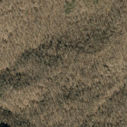 Satellite imagery of Oak Ridge, US