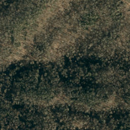 Satellite imagery of Big Fork Ridge, US