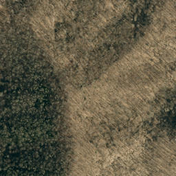 Satellite imagery of Big Fork Ridge, US