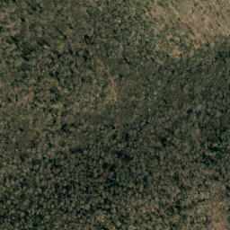 Satellite imagery of Locust Ridge, US