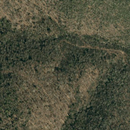 Satellite imagery of Locust Ridge, US