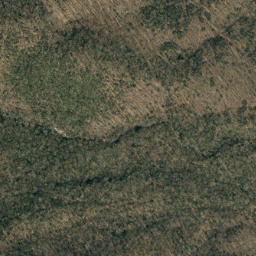 Satellite imagery of Colbert Ridge, US