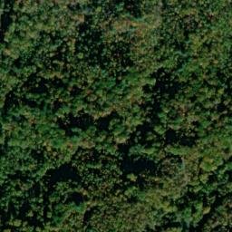 Satellite imagery of Fork Ridge, US