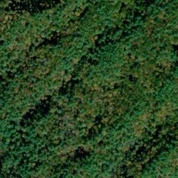 Satellite imagery of Fork Ridge, US