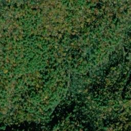 Satellite imagery of Chestnut Ridge, US