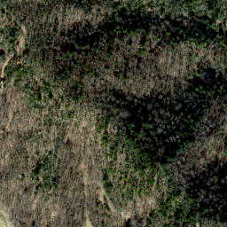 Satellite imagery of Worley Mill Ridge, US